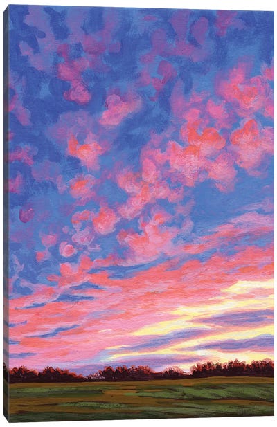 November Confetti Sky III Canvas Art Print - Catherine Freshley