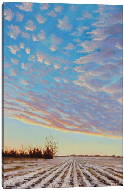 Oliver November Sunrise Canvas Art Print - Catherine Freshley