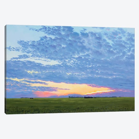 Prairie Summer Sunset Canvas Print #CFY28} by Catherine Freshley Canvas Art