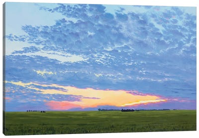 Prairie Summer Sunset Canvas Art Print - Countryside Art