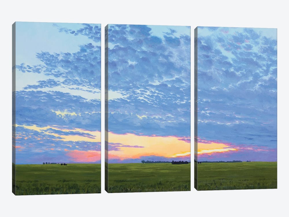 Prairie Summer Sunset by Catherine Freshley 3-piece Canvas Wall Art