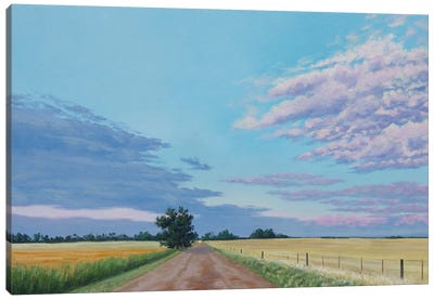 September Evening III Canvas Art Print - Field, Grassland & Meadow Art
