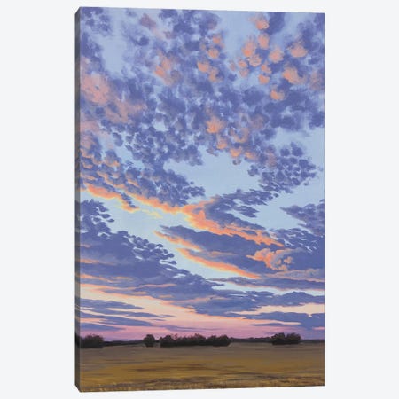 Sunset Down A Dirt Road Canvas Print #CFY35} by Catherine Freshley Canvas Wall Art