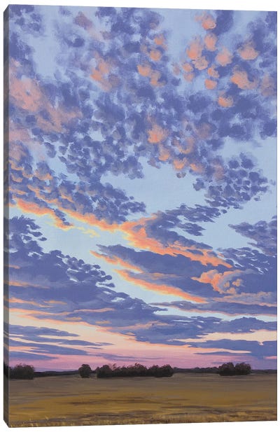 Sunset Down A Dirt Road Canvas Art Print - Catherine Freshley