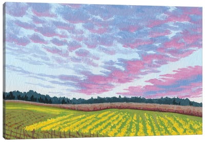 Sunset In Wine Country Canvas Art Print - Vineyard Art