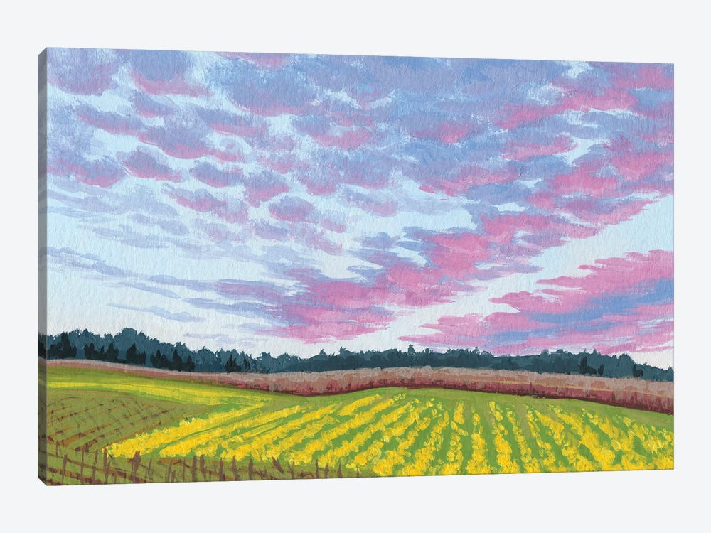 Sunset In Wine Country by Catherine Freshley 1-piece Canvas Print