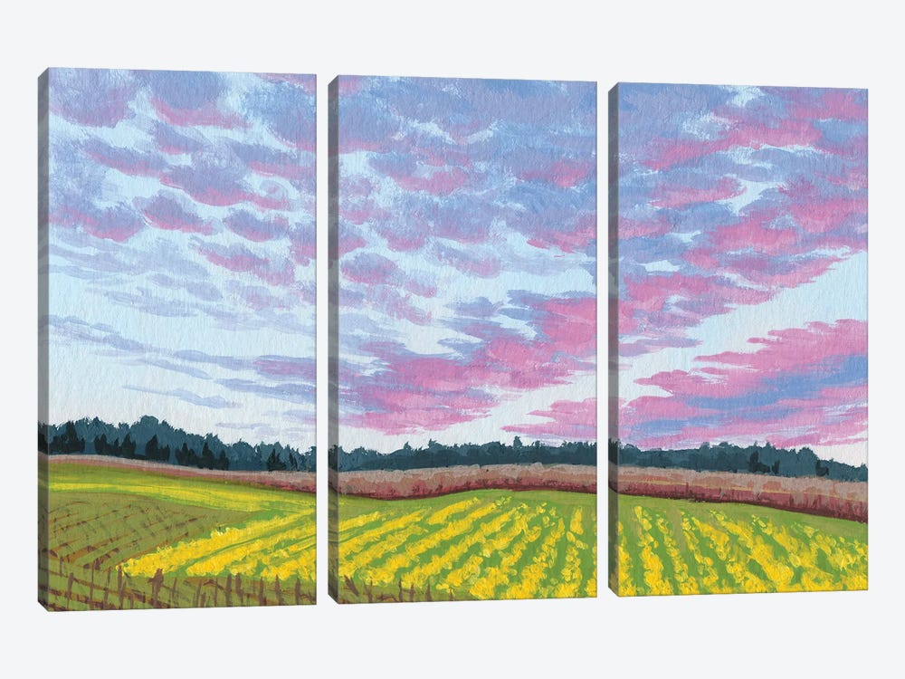 Sunset In Wine Country by Catherine Freshley 3-piece Art Print