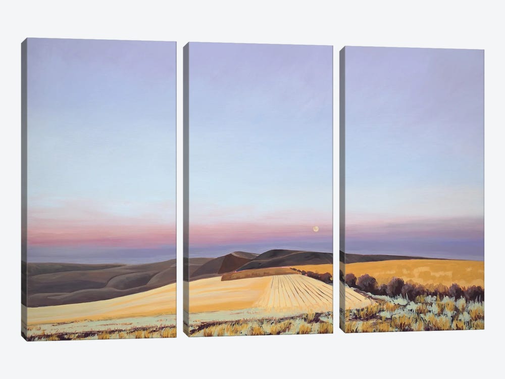 Moon Over Wallowa County by Catherine Freshley 3-piece Canvas Art Print