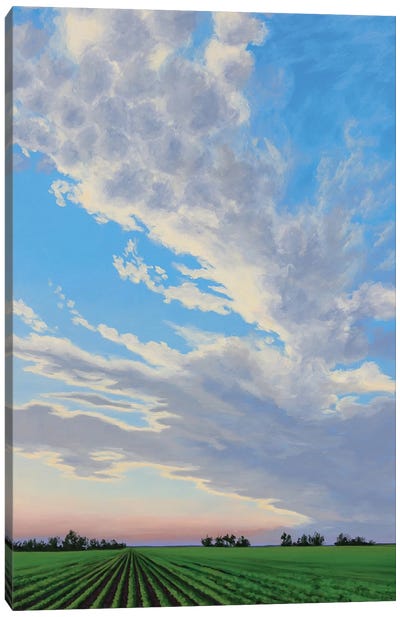 Wichita July Evening Canvas Art Print - Infinite Landscapes