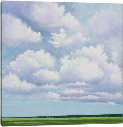 Will Rogers Field Canvas Art Print - Oklahoma Art