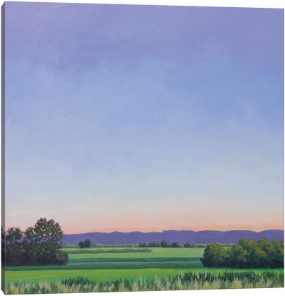 Reclaiming Summer - Sauvie's Canvas Art Print - Infinite Landscapes
