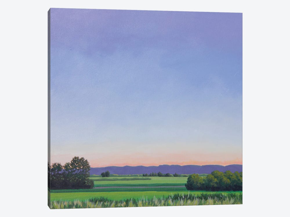 Reclaiming Summer - Sauvie's by Catherine Freshley 1-piece Canvas Print
