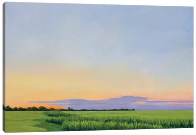 Altus Summer Evening Canvas Art Print - Infinite Landscapes
