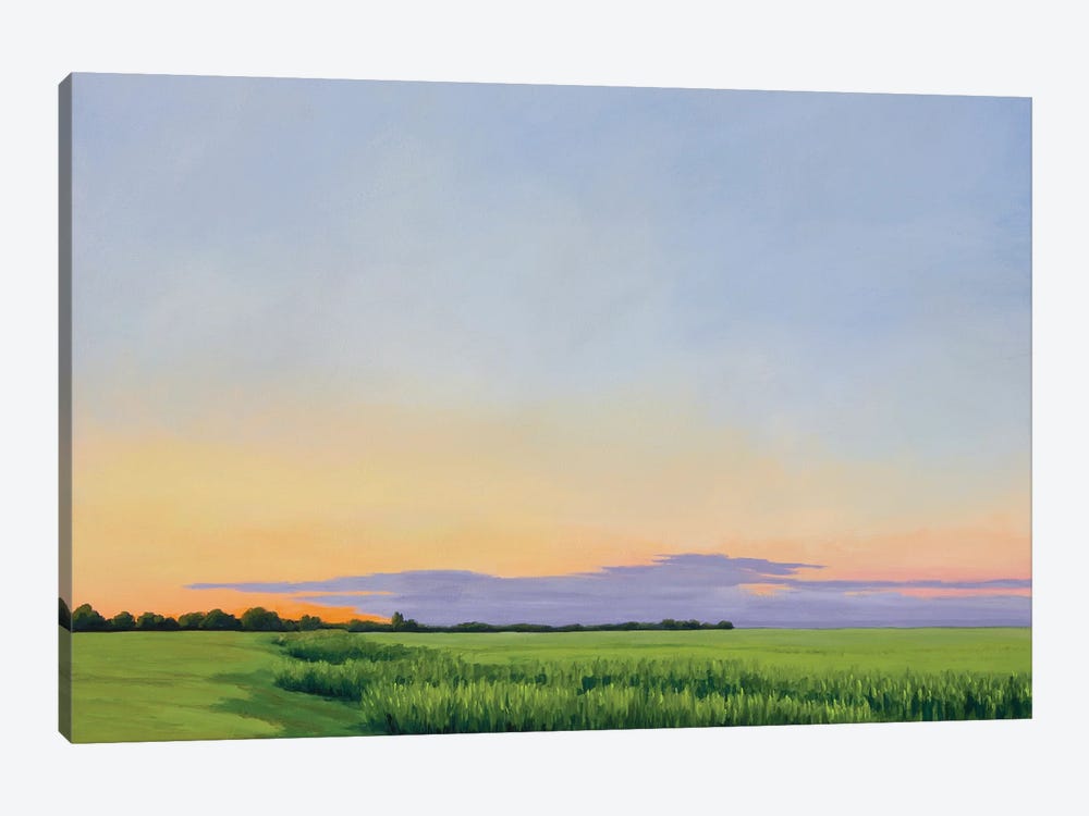 Altus Summer Evening by Catherine Freshley 1-piece Canvas Artwork
