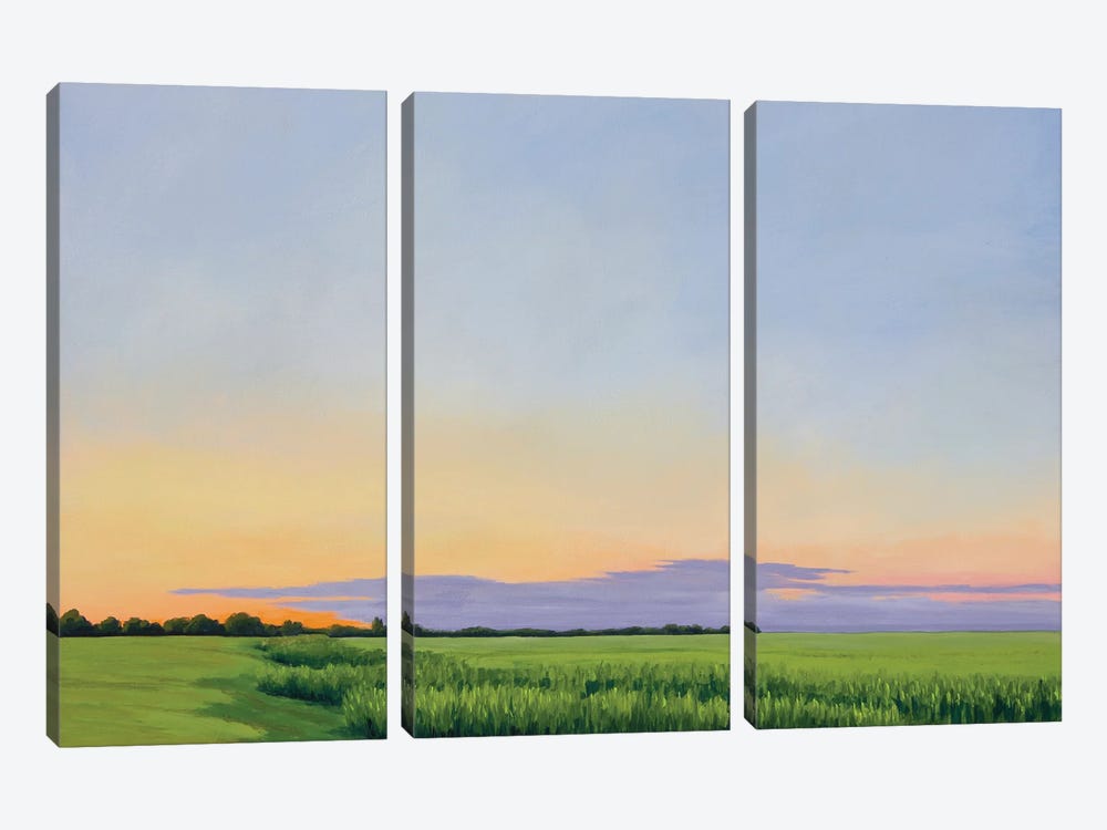 Altus Summer Evening by Catherine Freshley 3-piece Canvas Art