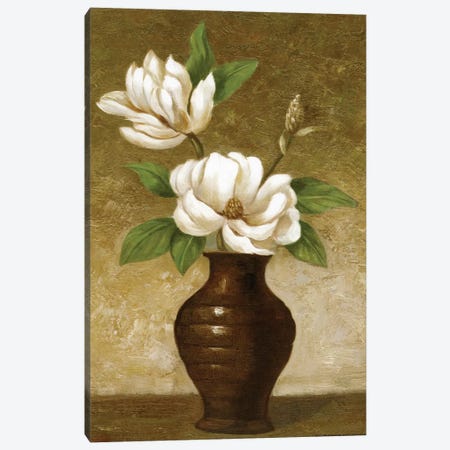 Flowering Magnolia Canvas Print #CGA5} by Charles Gaul Canvas Art