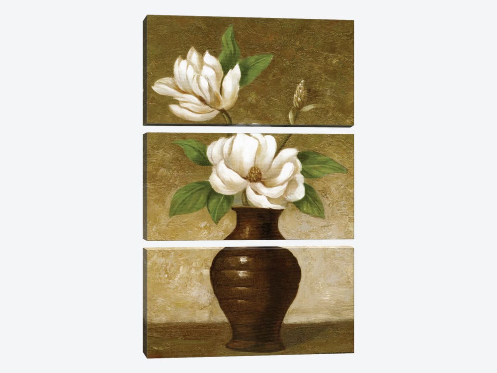 Flowering Magnolia by Charles Gaul 3-piece Canvas Art