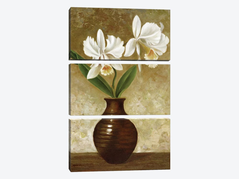 Flowering Orchid by Charles Gaul 3-piece Canvas Art Print