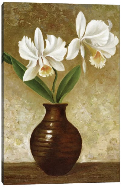 Flowering Orchid Canvas Art Print - Daffodil Art