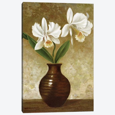 Flowering Orchid Canvas Print #CGA6} by Charles Gaul Canvas Artwork
