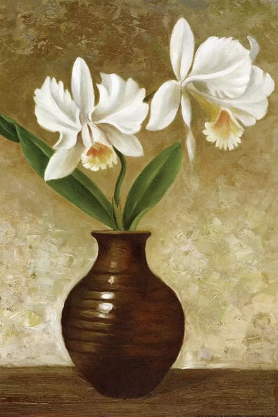 Daffodils: Flowering Orchid by Charles Gaul