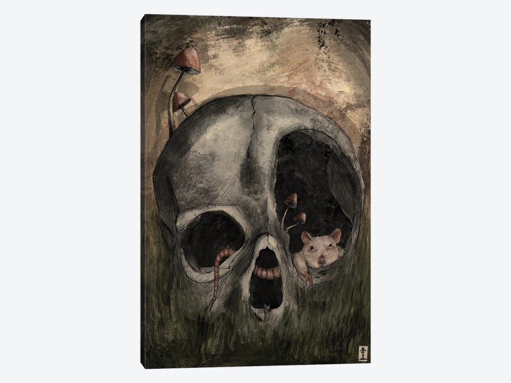 Skull Nap by CrumbsAndGubs 1-piece Canvas Artwork