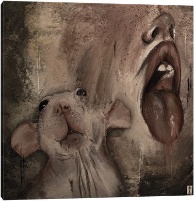 Rat Mouth Canvas Art Print - Rats