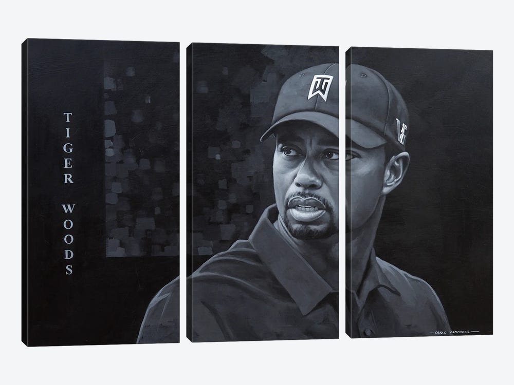 Tiger Woods by Craig Campbell 3-piece Canvas Art