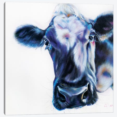 Howdy Canvas Print #CGL16} by Carol Gillan Canvas Art