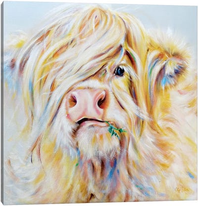 Munrodandelion Canvas Art Print - Highland Cow Art