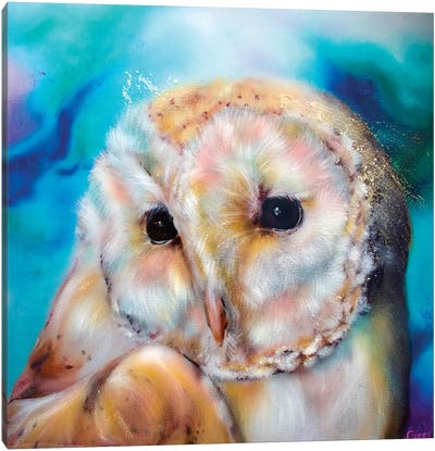 Northern Lights Owl Canvas Art Print - Carol Gillan