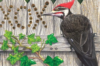 Tell Me Why? by Catherine G McElroy art print