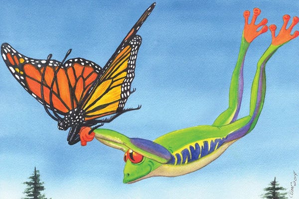 Frogs: The Hang Glider by Catherine G McElroy