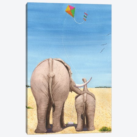 The Kite Canvas Print #CGM109} by Catherine G McElroy Canvas Print