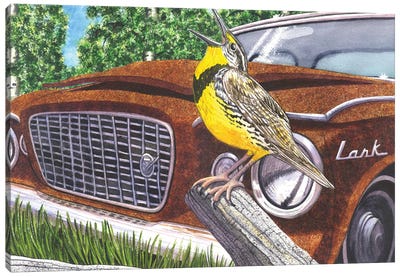 The Meadowlarks Canvas Art Print - Catherine G McElroy