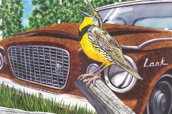 Larks
