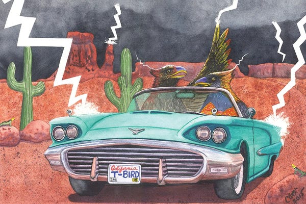 Lightning: Thunderbirds by Catherine G McElroy