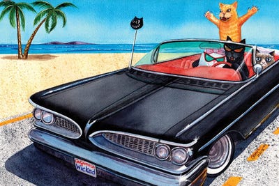 Wicked Kitty's Catalina by Catherine G McElroy framed canvas print