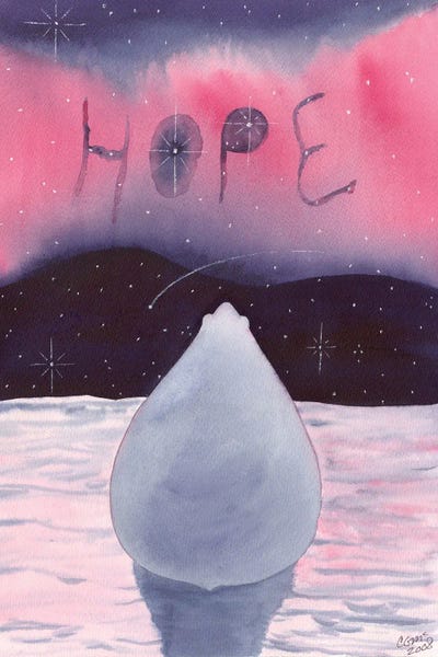 Polar Bears: Bearack by Catherine G McElroy