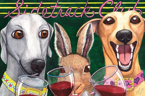 Italian Greyhounds: Wining With The Rabbit! by Catherine G McElroy