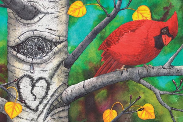 Cardinals: You Ok? by Catherine G McElroy