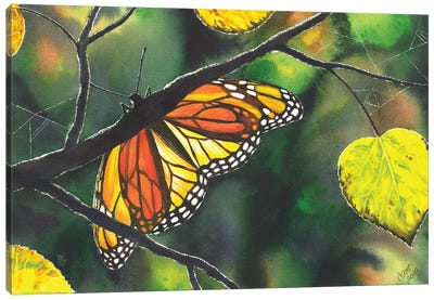 Glow Canvas Art Print - Monarch Metamorphosis