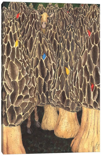 It's Like Looking For A Giraffe In A Field Of Morels Canvas Art Print - Catherine G McElroy