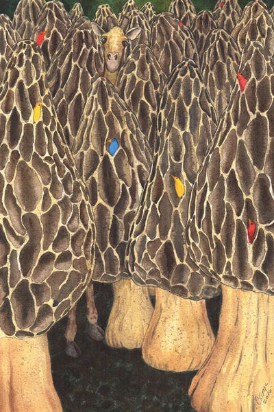 Catherine G McElroy: It's Like Looking For A Giraffe In A Field Of Morels by Catherine G McElroy