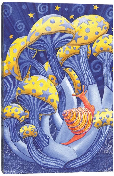 Magic Mushrooms Canvas Art Print - Mushroom Art