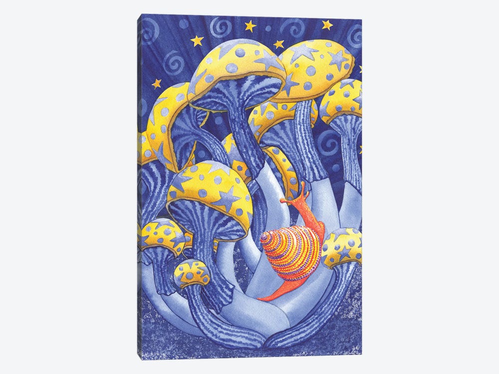 Magic Mushrooms by Catherine G McElroy 1-piece Canvas Artwork