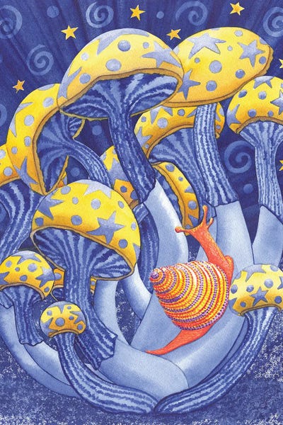 Snails: Magic Mushrooms by Catherine G McElroy