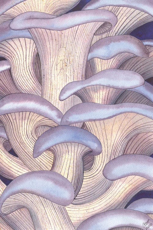 Mary Mushrooms