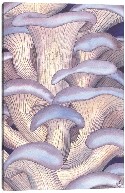 Mary Mushrooms Canvas Art Print - Catherine G McElroy