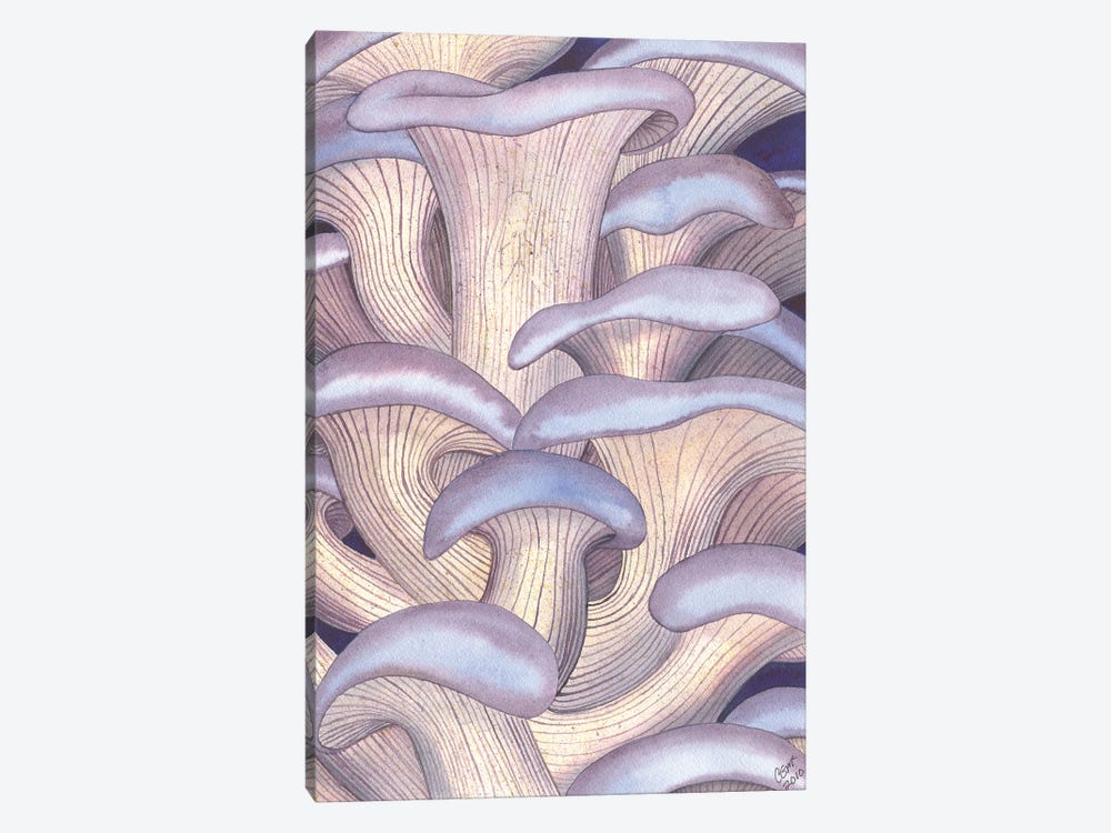 Mary Mushrooms by Catherine G McElroy 1-piece Canvas Art Print